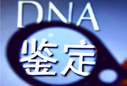 衢州DNA检验鉴定中心查询，衢州亲子鉴定中心费用是多少