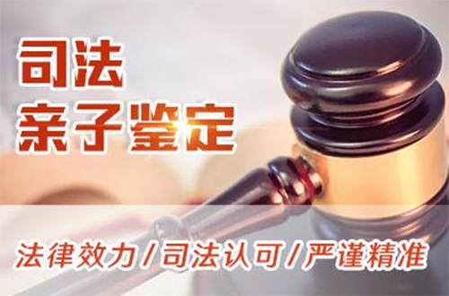 衢州司法亲子鉴定如何做,衢州司法亲子鉴定结果需要多久