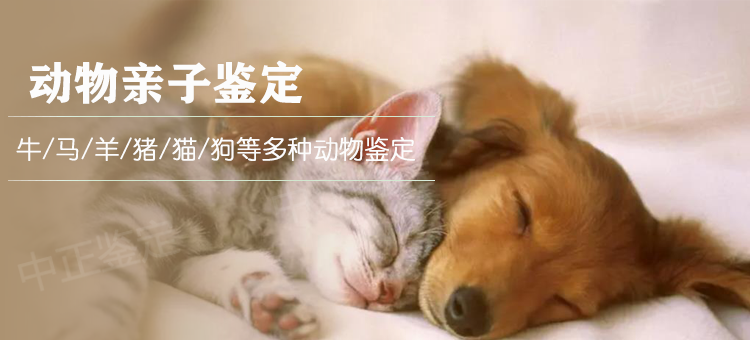 衢州动物鉴定