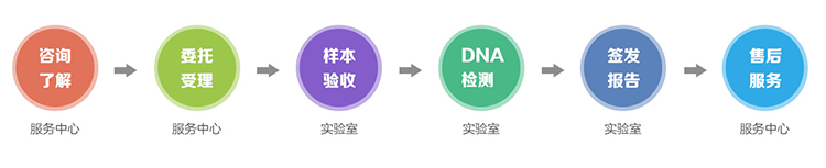 衢州隐私亲子鉴定流程