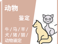 衢州动物鉴定