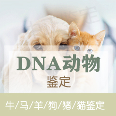 衢州动物鉴定